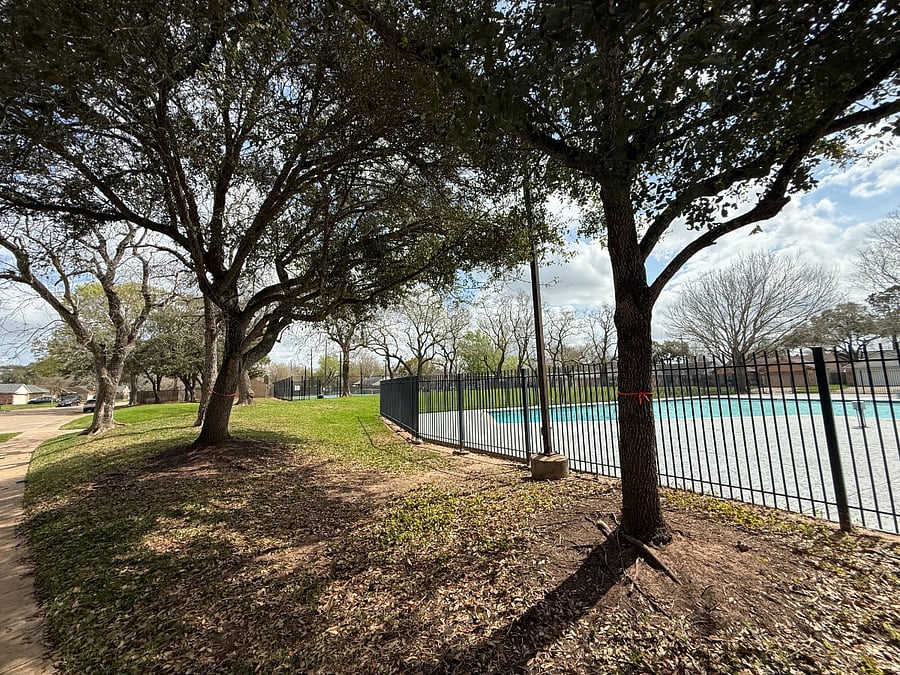 Mature trees and well-maintained residential surroundings