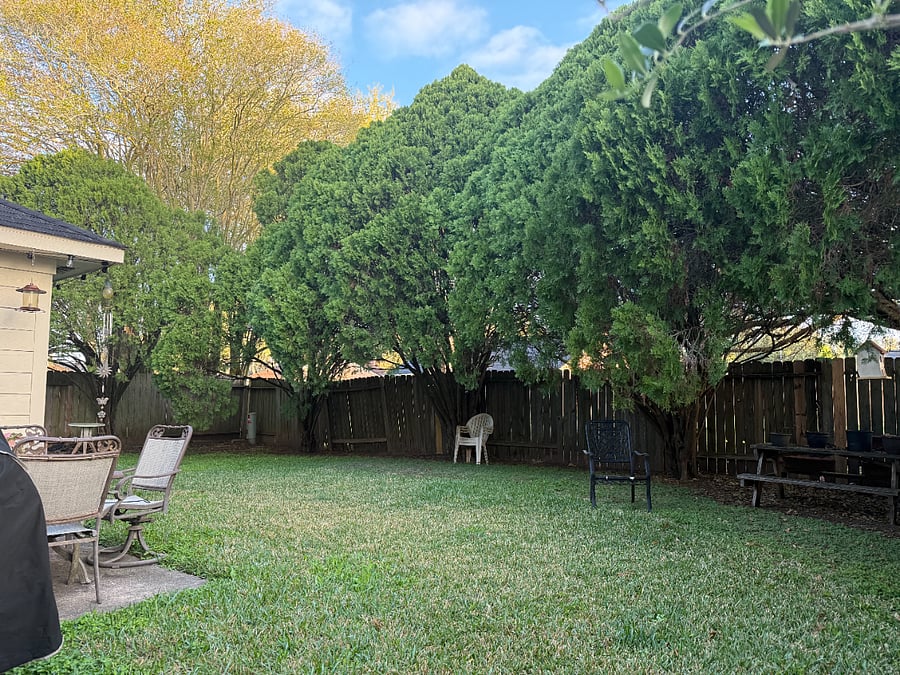 Peaceful backyard with mature trees and outdoor space to relax.