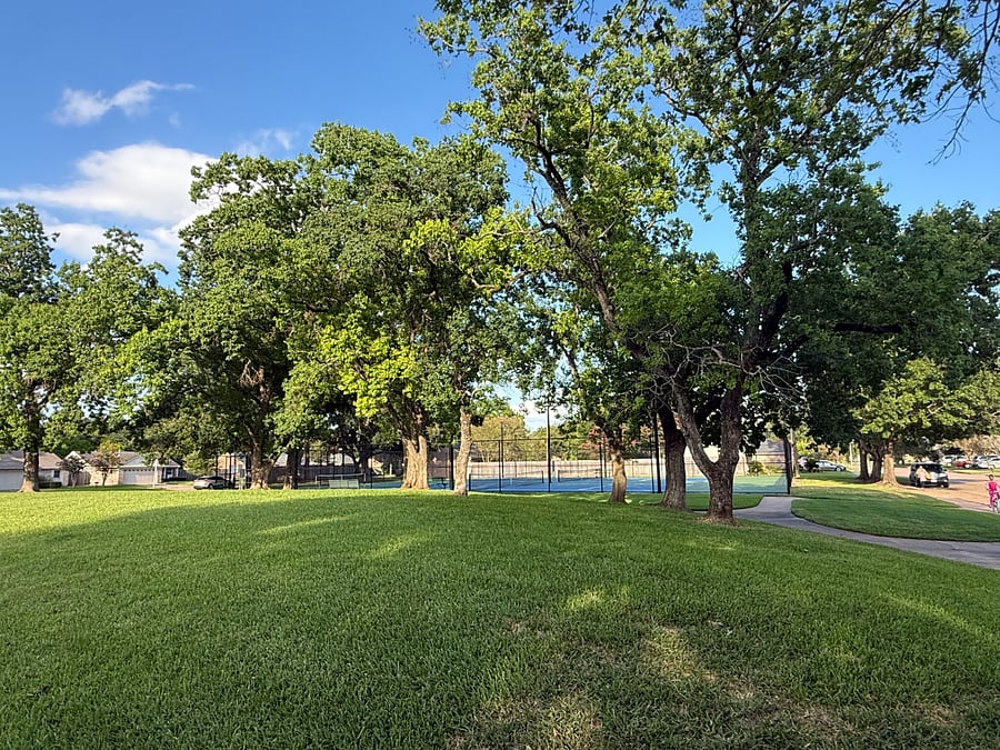 Mature trees and well-maintained residential surroundings