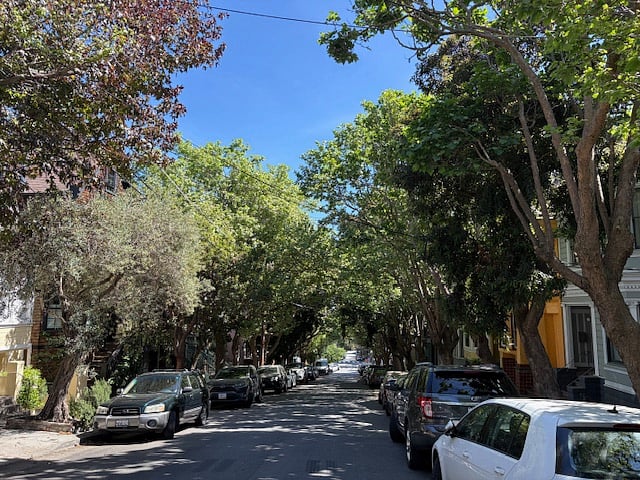 Tree lined neighborhood. Sunny, clean and safe.