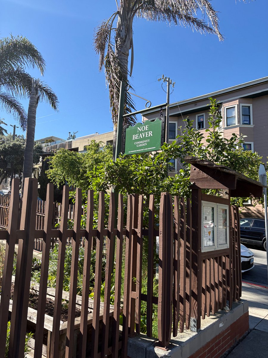The neighborhood community garden.
