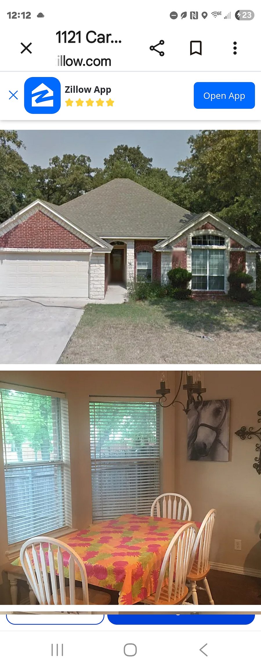 Two beautiful crepe myrtles that bloom in front of the house. We are currently growing a privacy hedge in the front of the front yard.