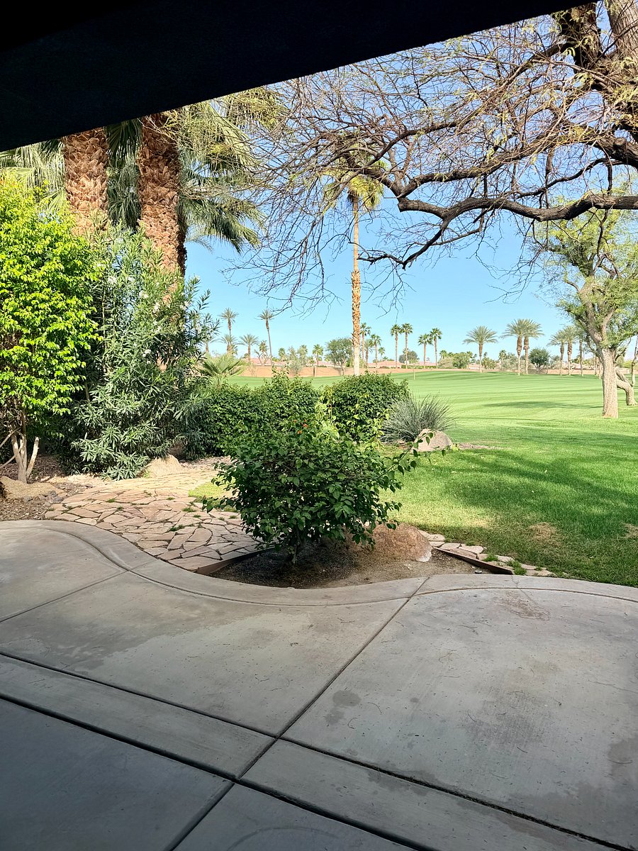 View from the patio, very quiet and private
