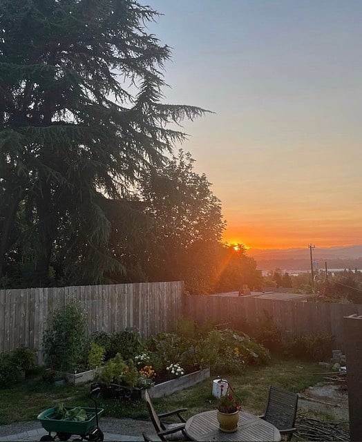 sunrise deep into July when the garden is really starting to take off
