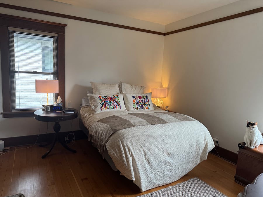 2nd bedroom with small ensuite bathroom and closet, down comforter