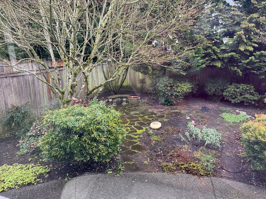Private back yard garden area