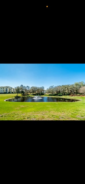 Furnished Finder property 972097_1 photo 26