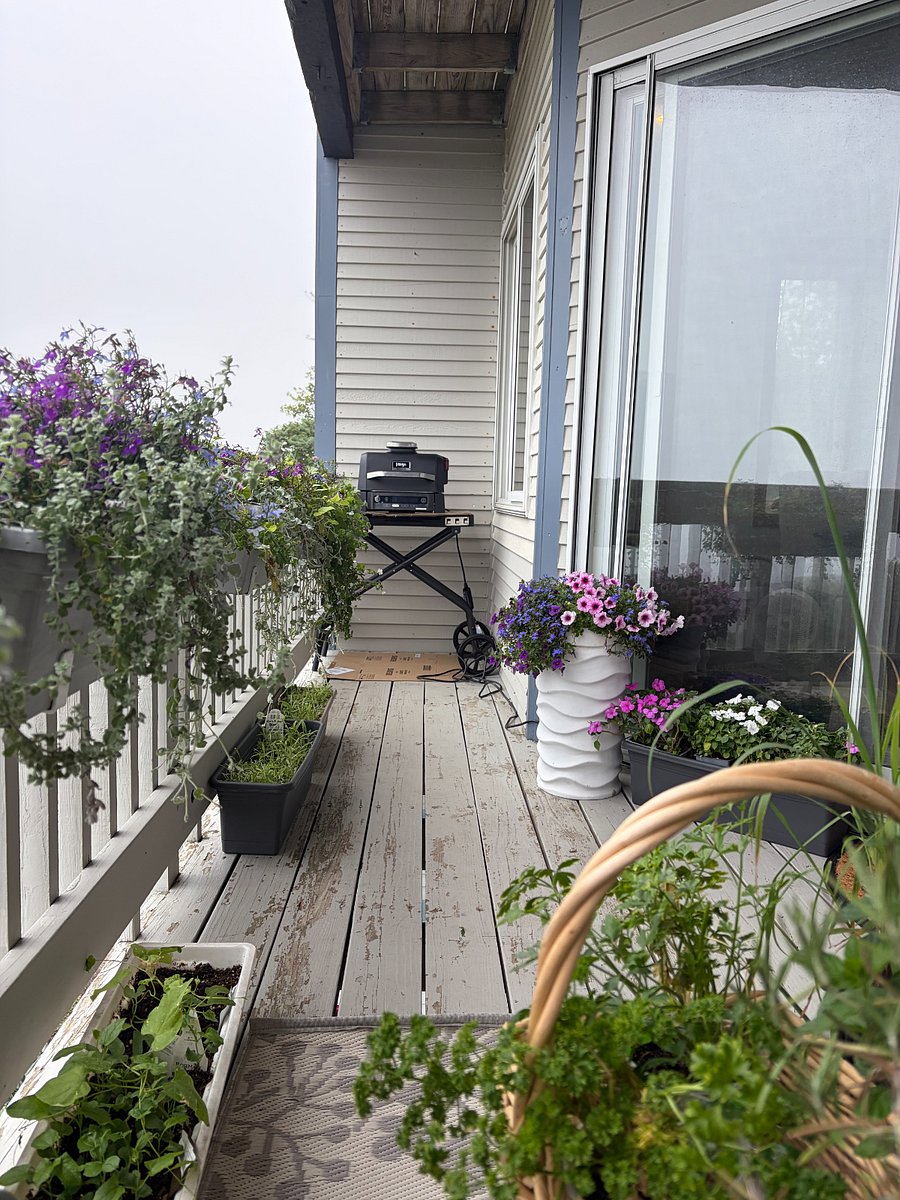 Front porch + Ninja Woodfire Grill