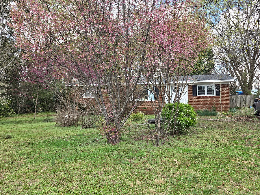 Furnished Finder property 972200_1 photo 14
