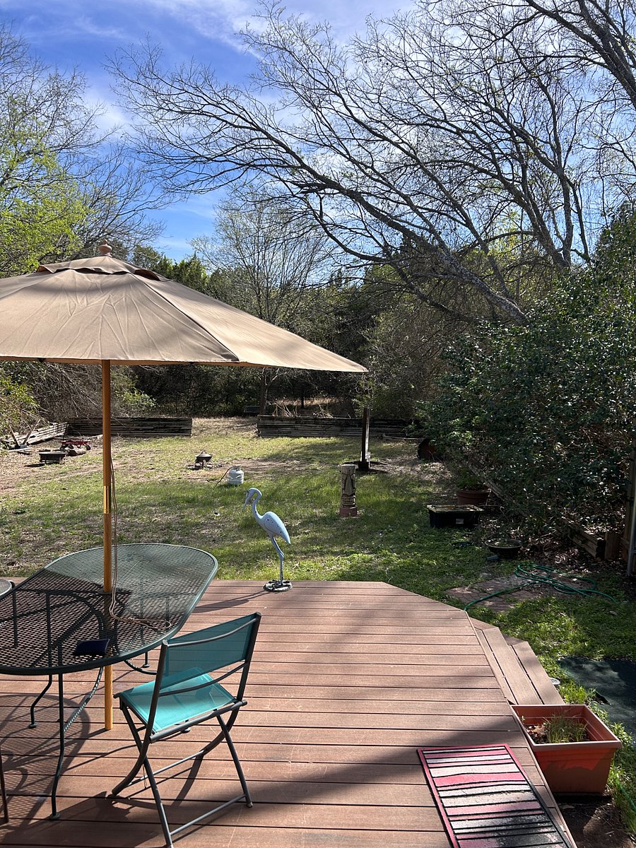 Huge backyard backing up to the woods of Dittmar Park! Beautiful birds and wildlife.