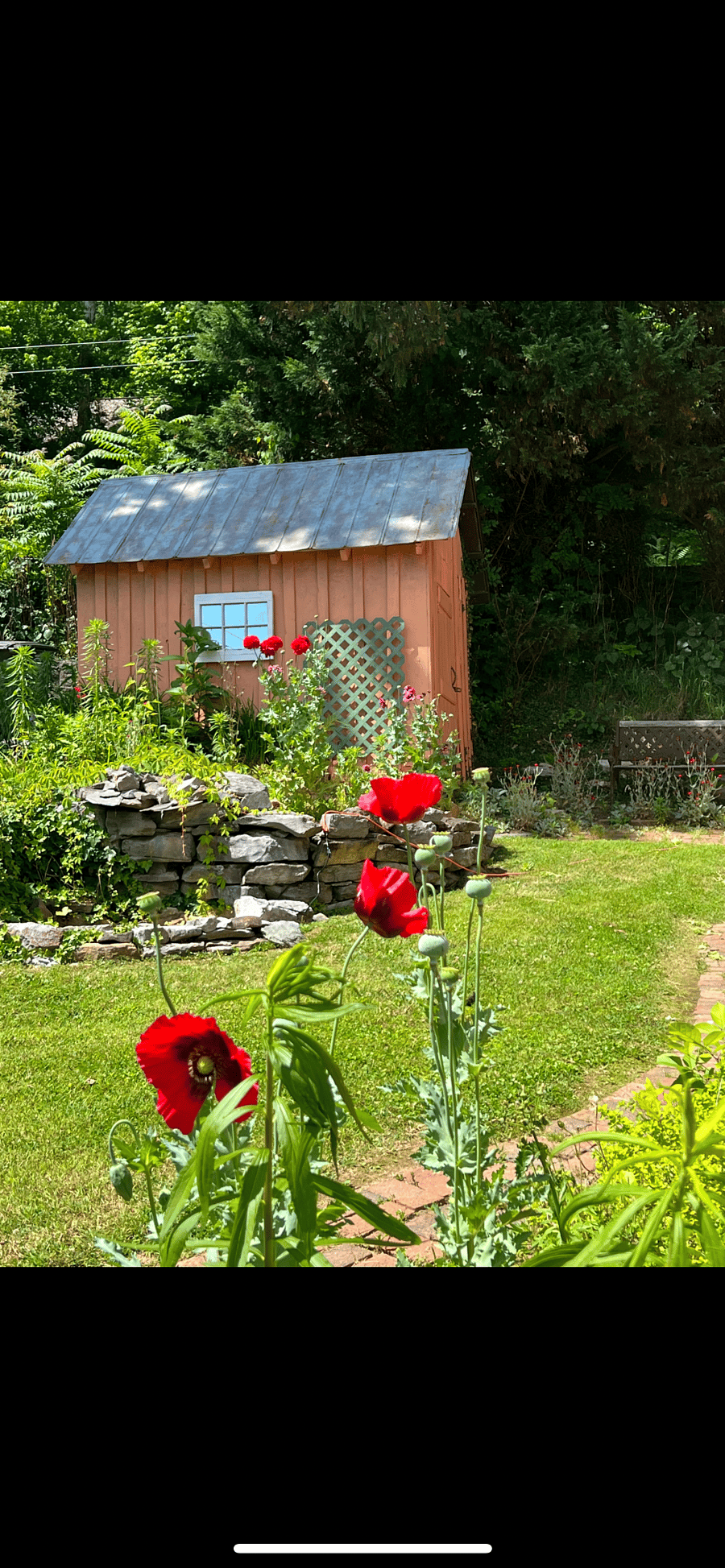 Furnished Finder property 972281_1 photo 22