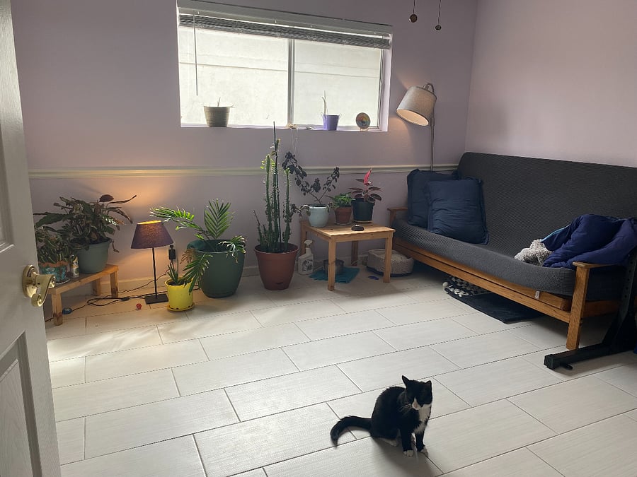 Second room with Fouton (cat optional)