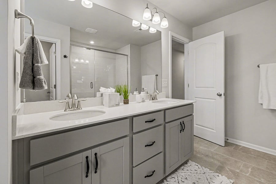 Master bathroom suite