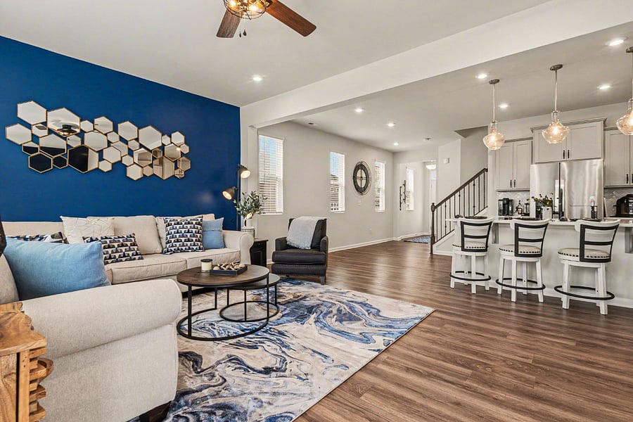 Living room and kitchen