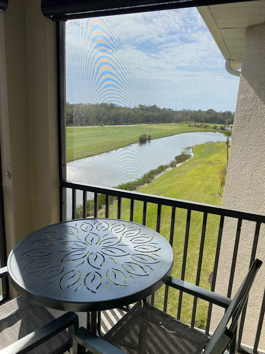 Furnished Finder property 972491_1 photo 16