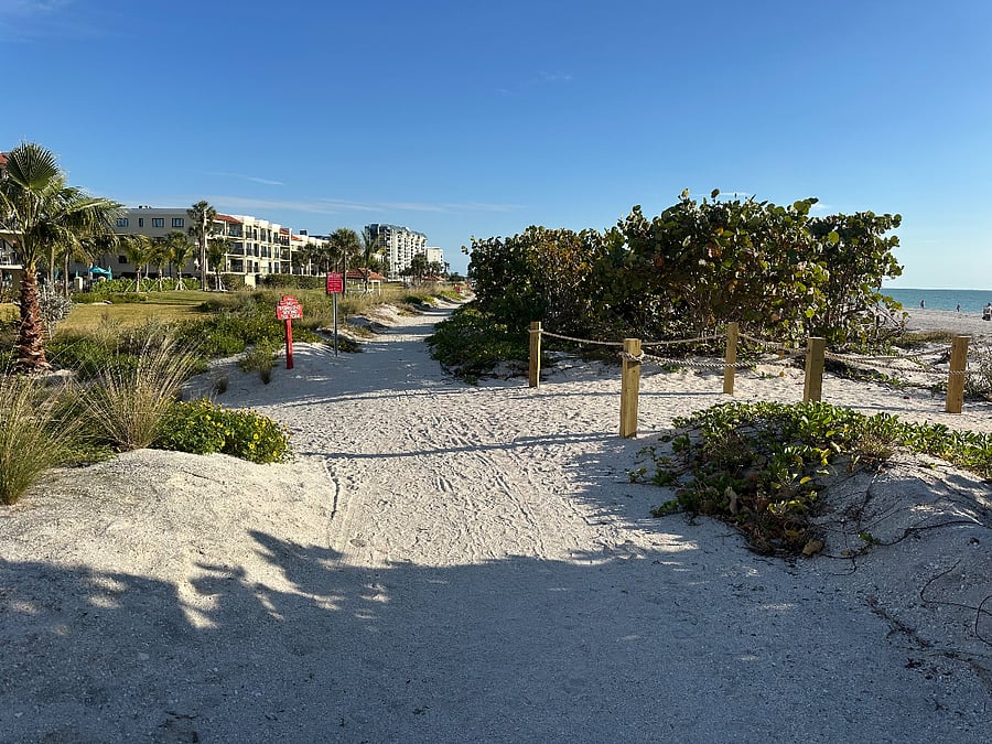Beach Walk