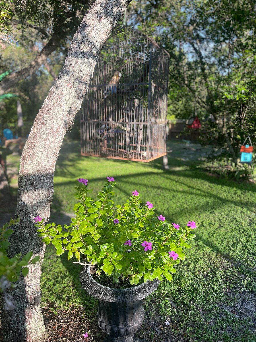 YARD FEATURE