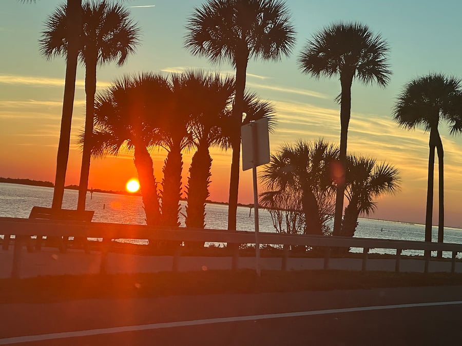 Dunedin Causeway!