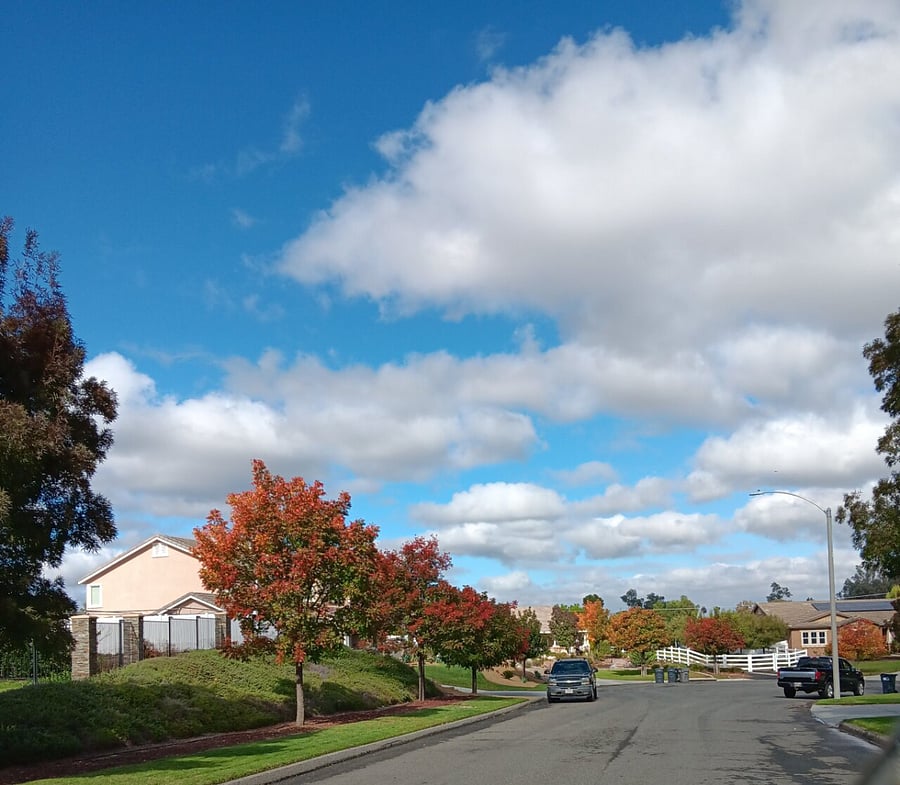 Safe tree lined street.
