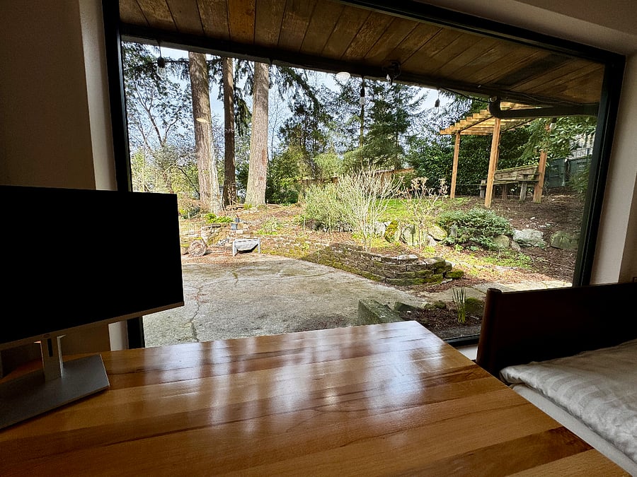 Large window with views of backyard trees and room darkening curtains.