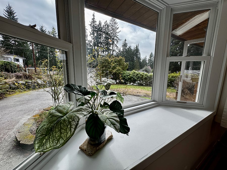 On the right is the front door, which opens to the driveway and the golf course adjacent to Edmonds College.

This home offers 4 skylights and 4 garden windows. 

Let us know if you would like a plant to care for during your stay 