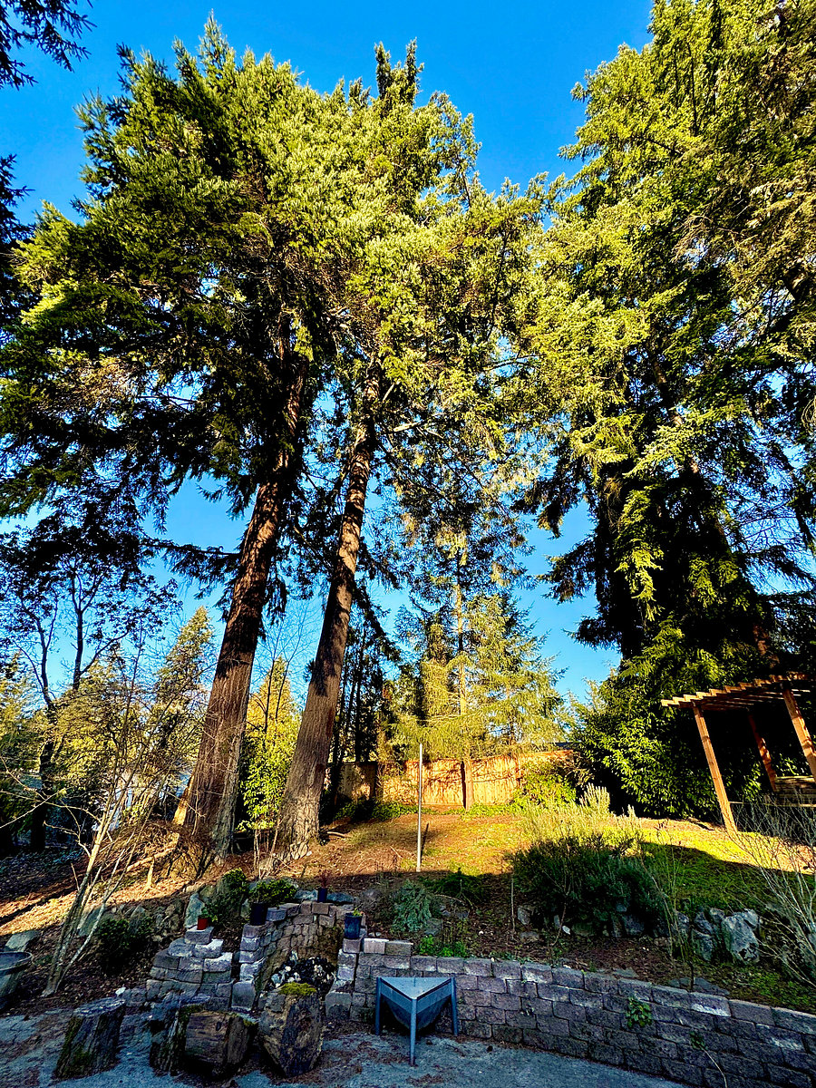 The house is on just over 1/4 acre.