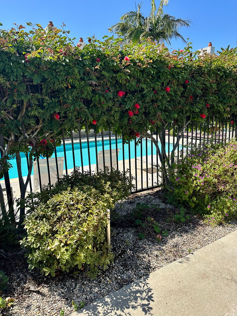 Gated pool