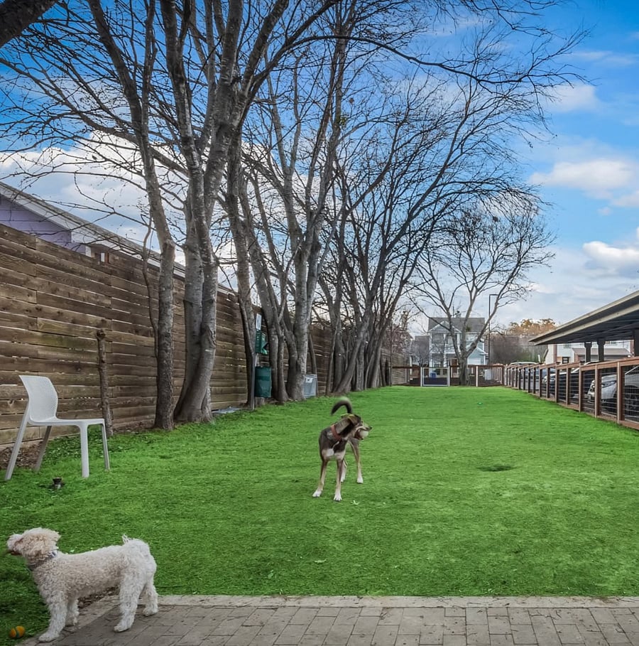 There are 2 dog runs and a dog washing station.