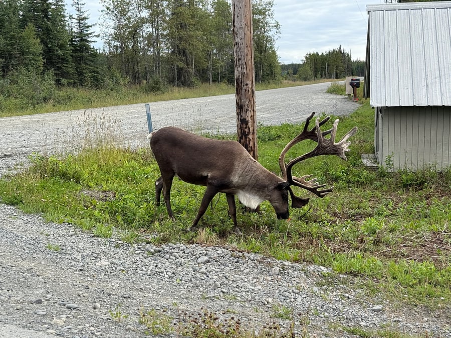 Furnished Finder property 973018_1 photo 8