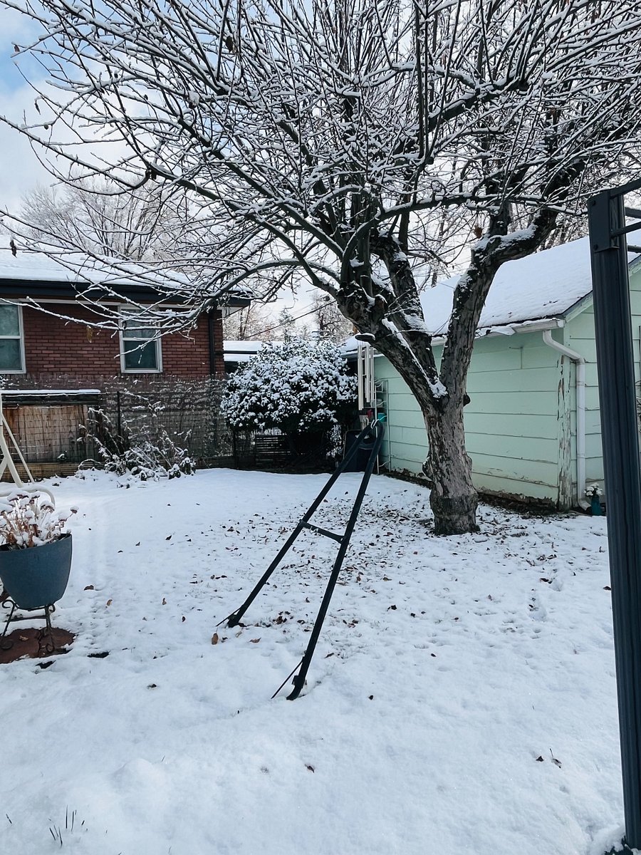 Garden, fenced