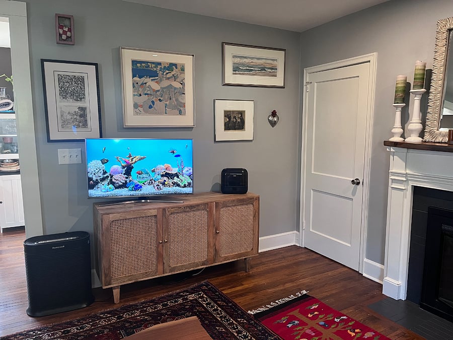 Smart TV with Roku and Streaming