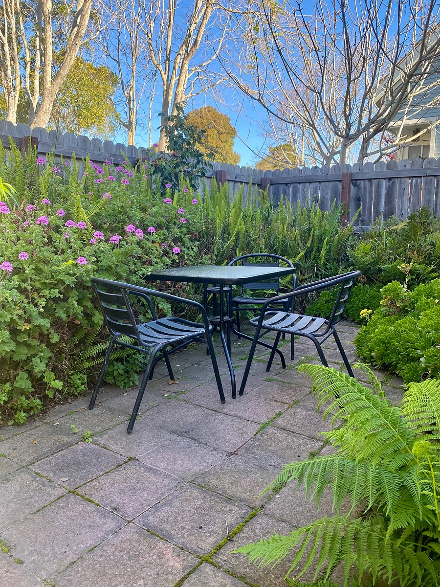 Small Patio in Garden