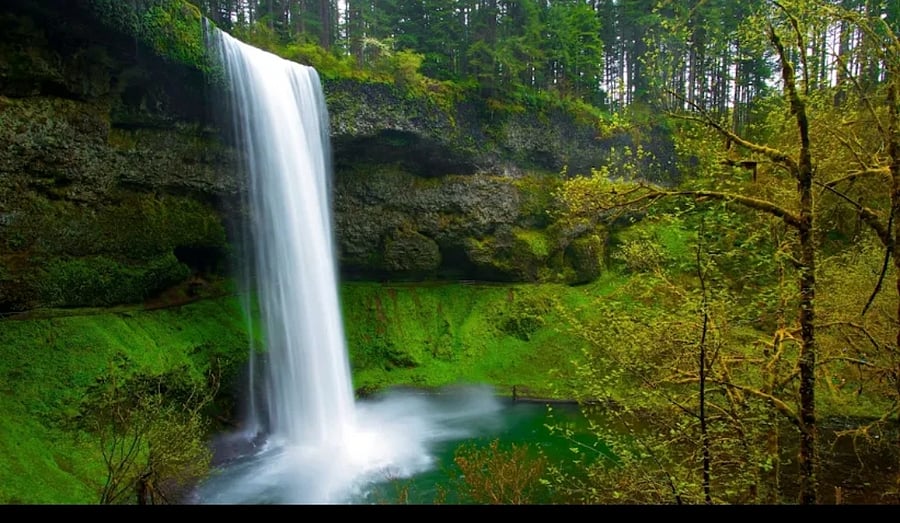 Silver Falls State Parkl