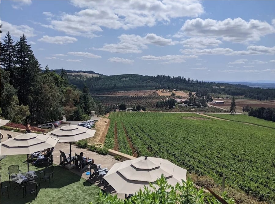 Willamette Valley Vineyards