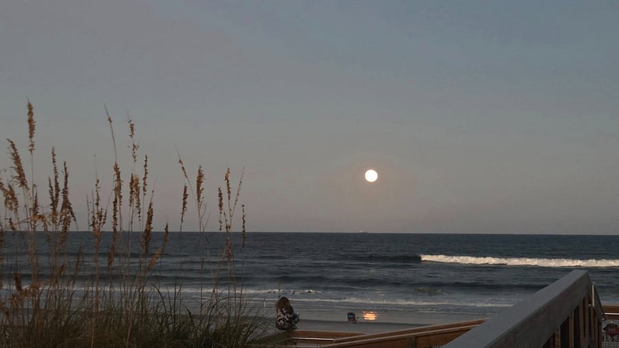 Furnished Finder property 973245_1 photo 15