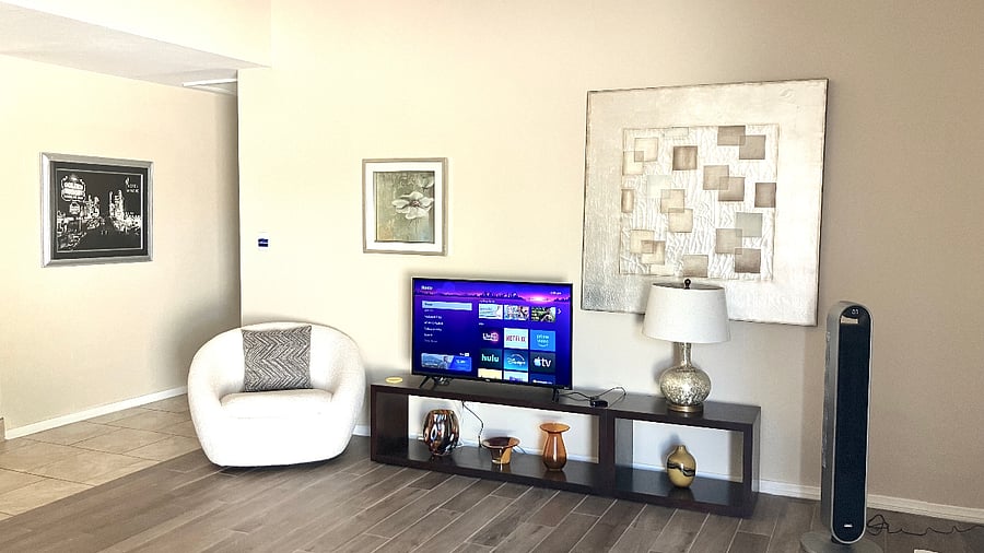 Roku TV - stream your favorite channels (cable not included)