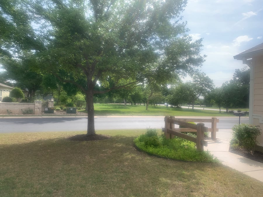 looking across the street to an acre of natural landscaping in this quiet neighborhood