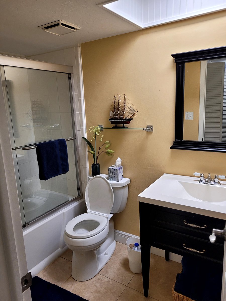 Guest bathroom