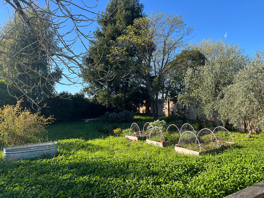 Spacious yard to lie in the sun or look at the stars.