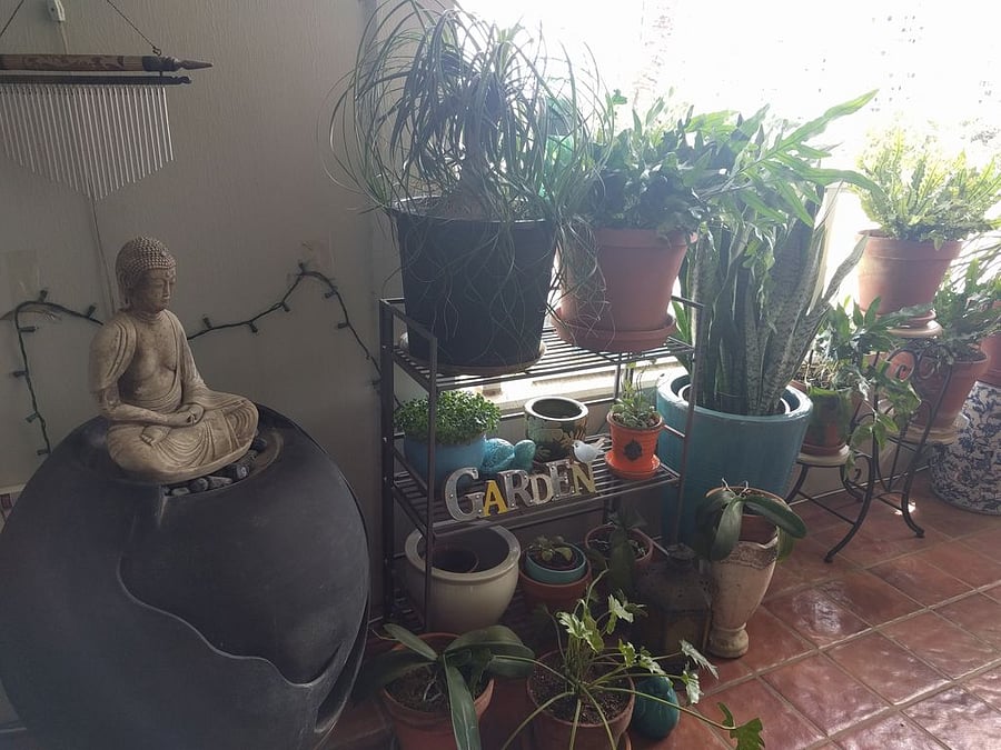 Lanai Garden