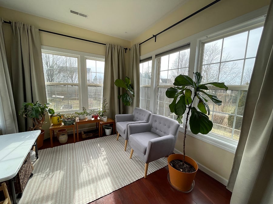 South facing sunroom.