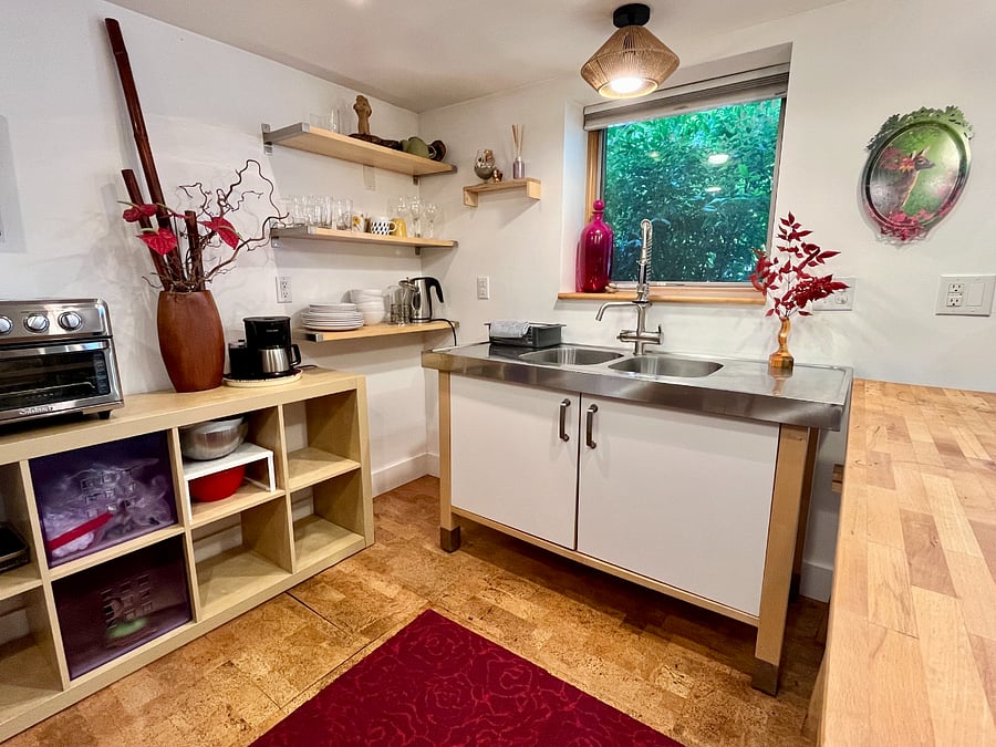 Large kitchen sink with pull down sprayer
