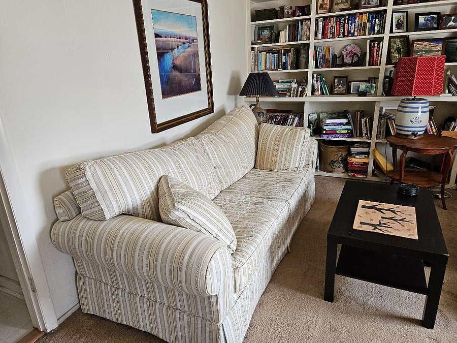 Living room. couch and bookcases. Across the room is a large window looking out the front of the house. (picture to come)