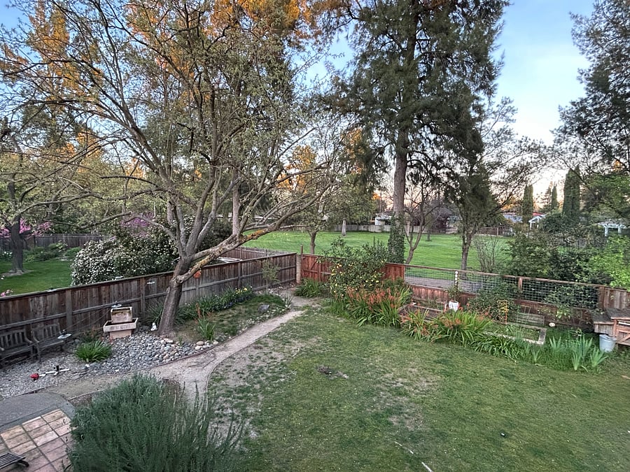 View from master balcony with park/bike path beyond fence