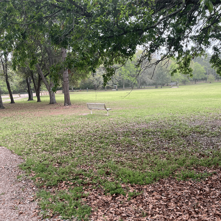 Jackson View Park