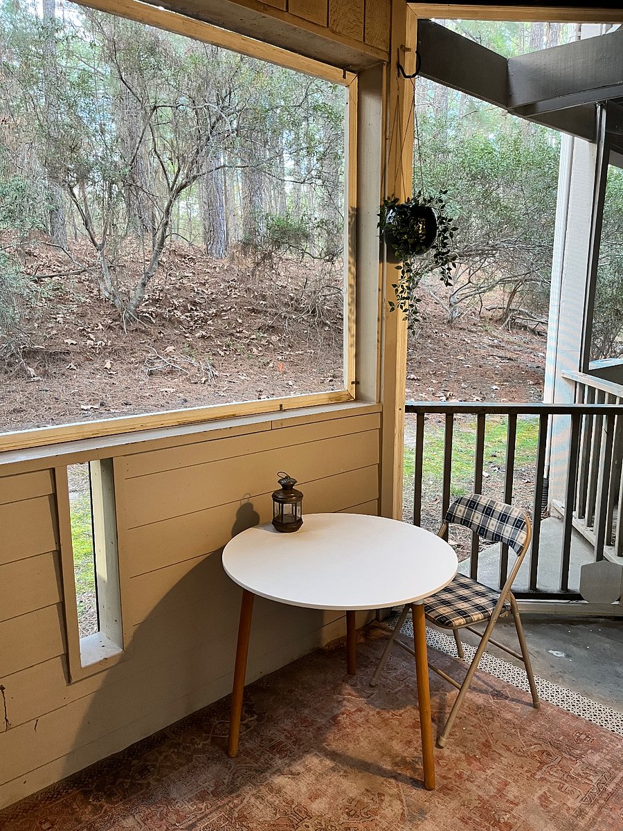 Our screened-in porch, aka the catio!