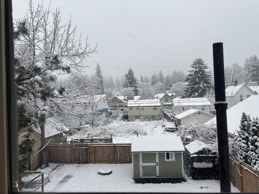 Snowy view of the backyard from the back window!