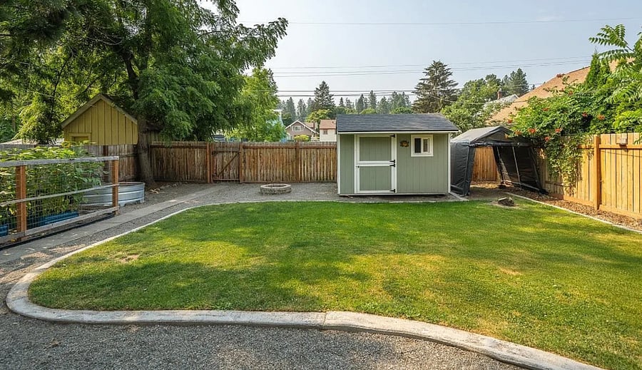 Summer view of the backyard