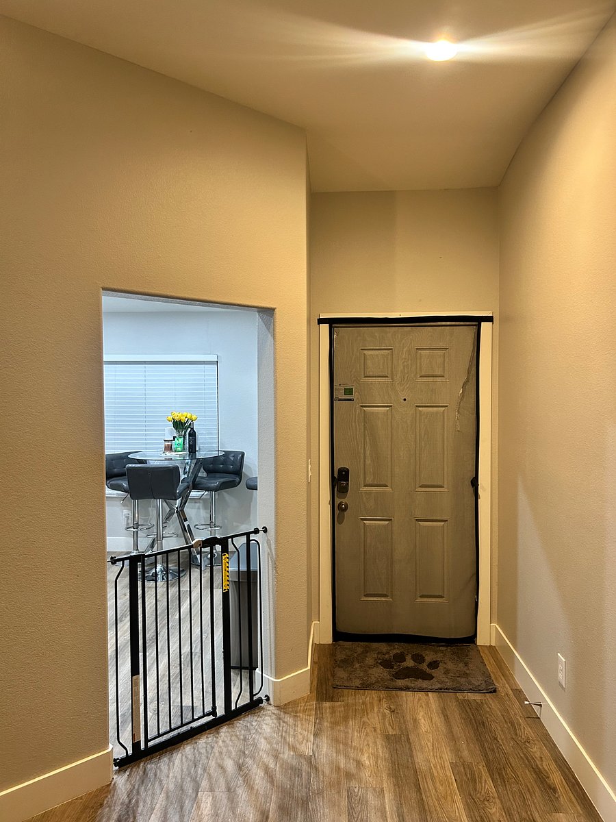 No dogs allowed in kitchen and no bugs allowed through the front door  