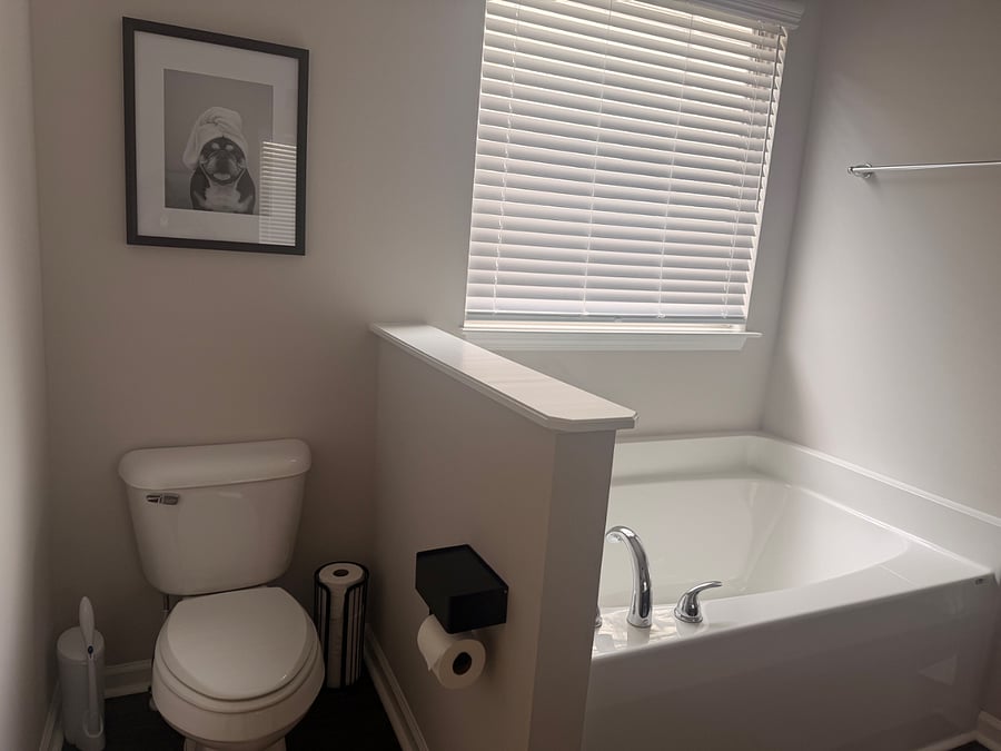Master bathroom with spa tub